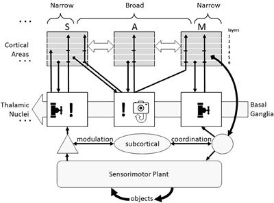 Remembrance of things perceived: Adding thalamocortical function to artificial neural networks